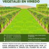 Manejo de cubiertas vegetales en viñedo