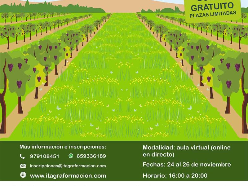 Manejo de cubiertas vegetales en viñedo