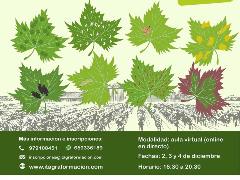 Identificación y control de plagas en viñedo