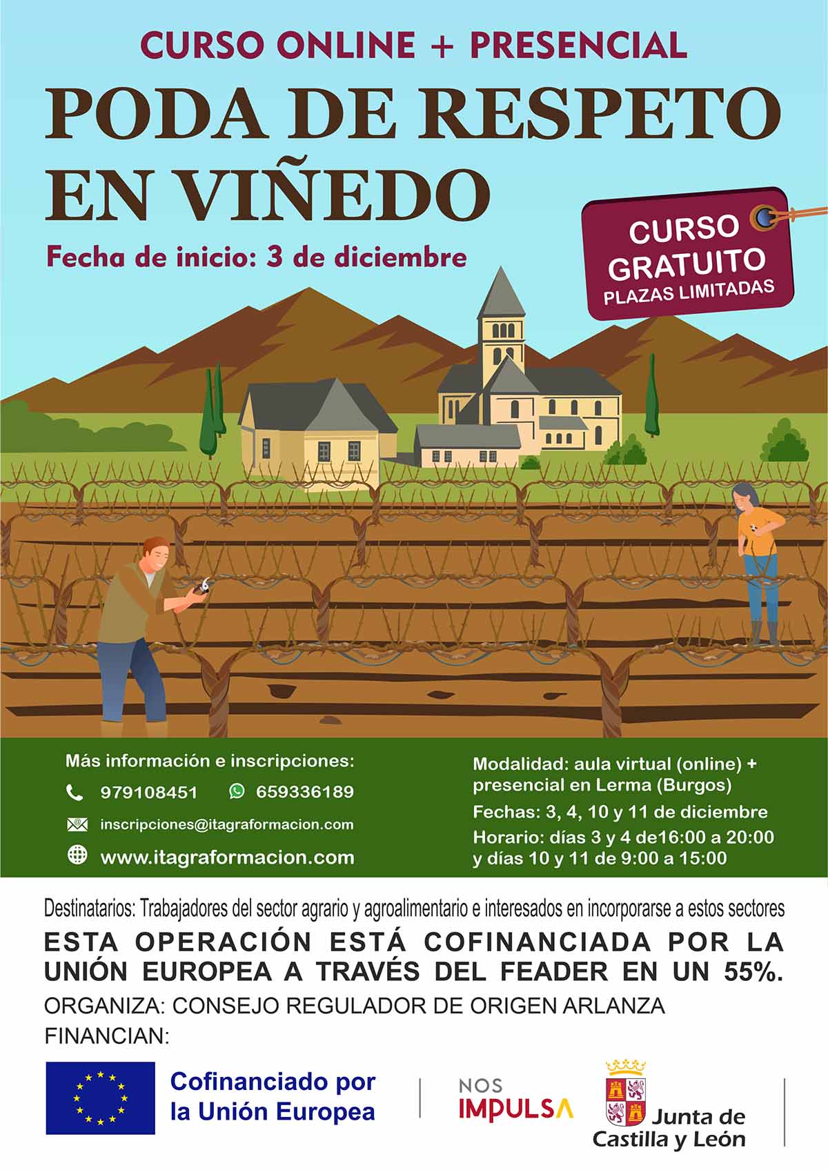 Poda de respeto en viñedo