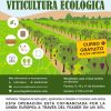 Conversión a la viticultura ecológica
