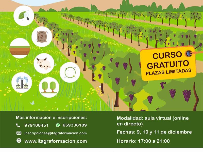 Conversión a la viticultura ecológica